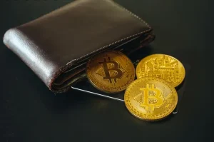 Tipe Dompet Digital Investasi Kripto