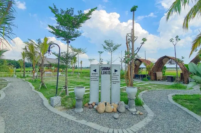 Apa Itu Sawah Lukis