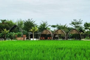 Sawah Lukis