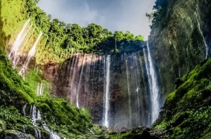 Air Terjun di Jawa Timur yang Menawarkan Keindahan Alam Menakjubkan