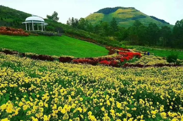 Destinasi Wisata di Sumatera Utara yang Wajib Dikunjungi untuk Liburan