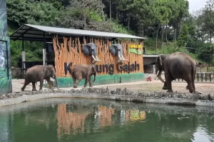 Lembang Park and Zoo